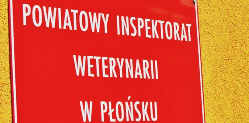 [Foto: Redakcja/Archiwum/zdjęcie ilustracyjne]