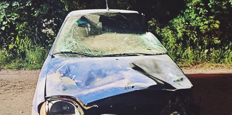 Tak wygląda fiat 31-latka po uderzeniu w drzewo [Foto: OSP Naruszewo]