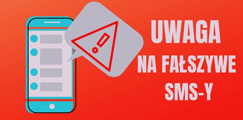 [Grafika ilustracyjna: stalowawola.pl