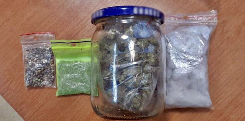 [fot.: KPP Płońsk]