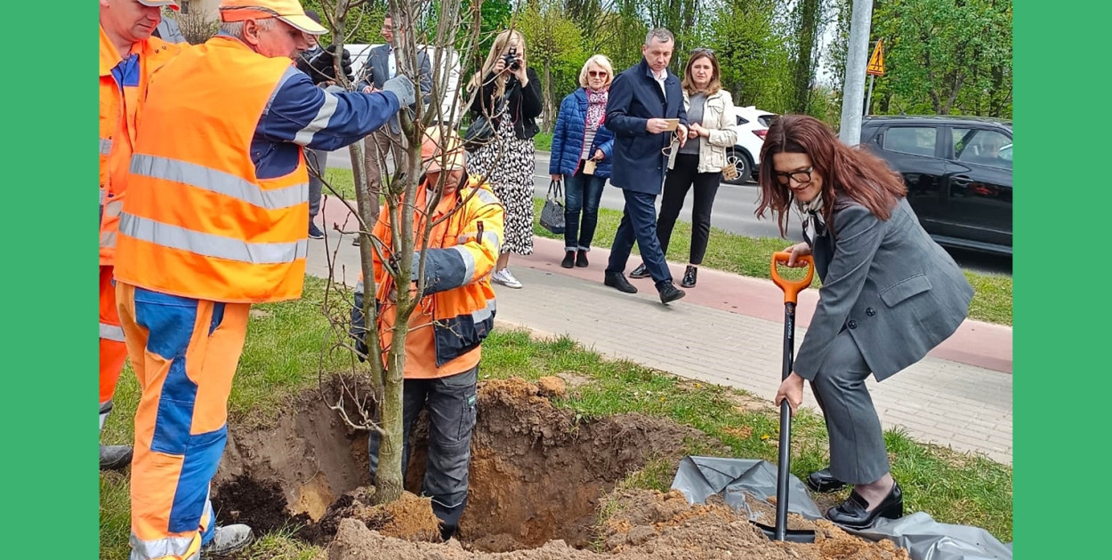 25 dębów na 25 lat Samorządu Powiatowego [FOTO]