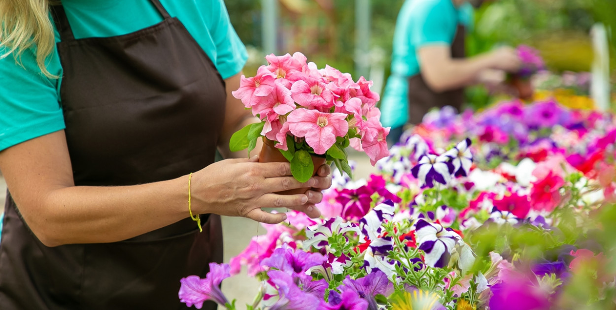 Chcesz być wykwalifikowanym ogrodnikiem? 