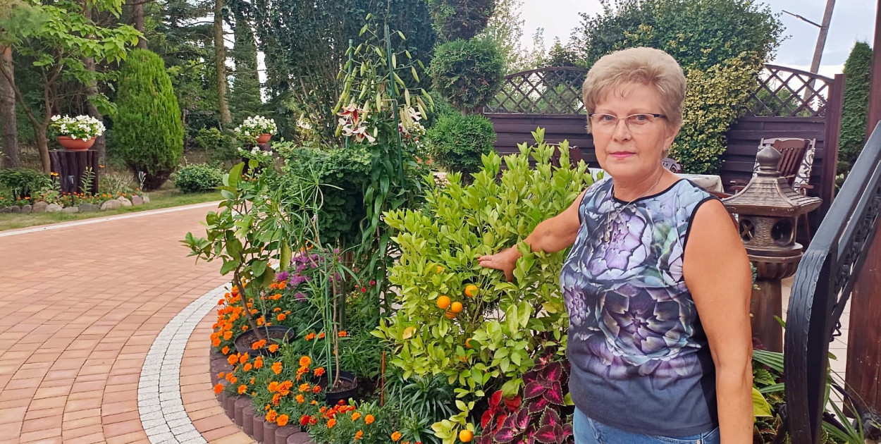 Ogrodowy konkurs dla pani Bożeny z Bolęcina [FOTO]