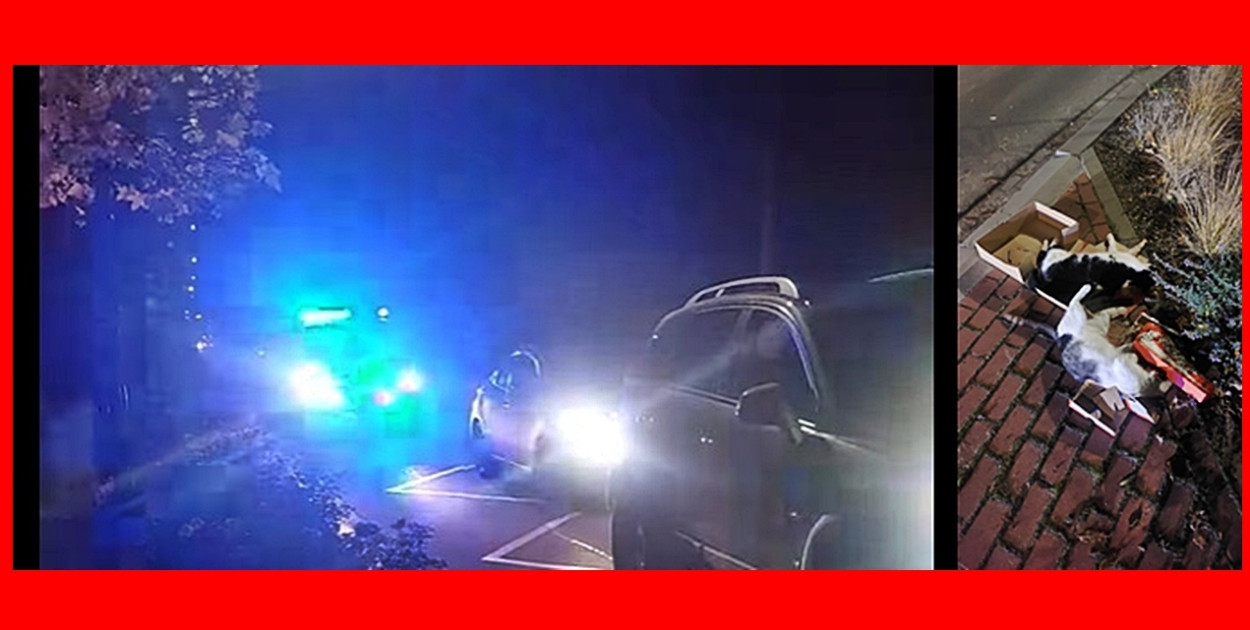 Na miejsce zdarzenia przyjechała policja [fot.: zbiory prywatne]