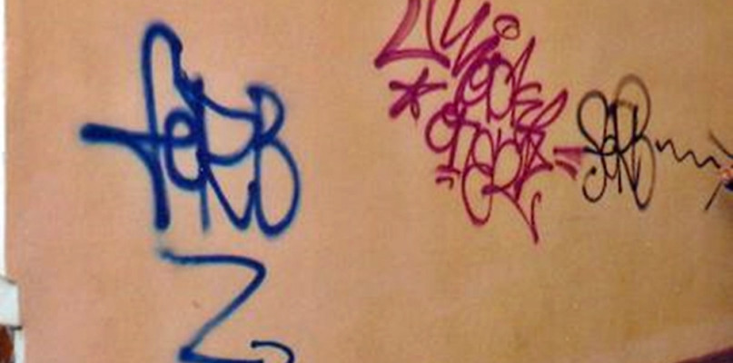 Takie malunki wykonywał na ścianach 17-letni płońszczanin [Foto: KPP w Płońsku]