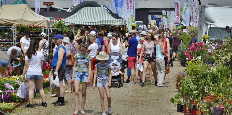 Rolnicze targi na Poświętnem cieszą się ogromną popularnością wśród zwiedzających [Foto: DT]