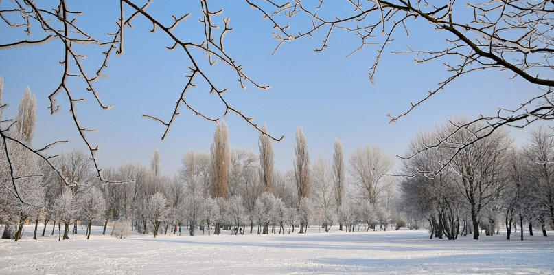 Spowity śniegiem park przy płońskim cmentarzu. Rok 2009. Życzylibyśmy sobie takich widoków i tegorocznej zimy [Foto: Pitr Koper]