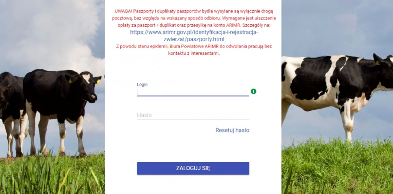 Portal IRZplus, co warto podkreślić, daje również możliwości wyrobienia paszportu dla zwierzęcia, bez konieczności wychodzenia z domu. Dotyczy to również otrzymania puli numerów kolczyków oraz duplikatów kolczyków