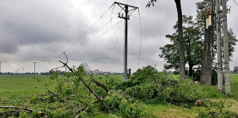Teren Poświętnego po ostatniej burzy: zerwane linie energetyczne i połamane drzewo [Foto: Łukasz Wielechowski]