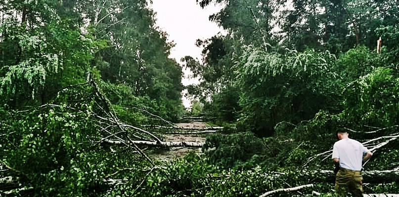 Las w miejscowości Kaczorowy (gm. Raciąż) - jeszcze dobry kilometr leżących drzew na drodze - informowali druhowie z OSP w Raciążu [Foto: OSP Kaczorowy]