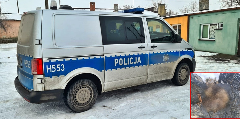 Skierowani na miejsce funkcjonariusze ustalili, że posesja wynajmowana jest przez 39-letniego mieszkańca Płońska [Fot. D.W./Zbiory prywatne]