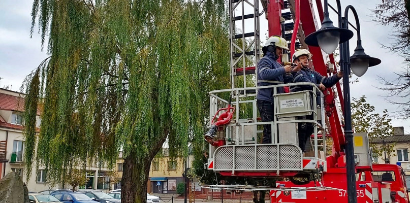 Ruszył montaż energooszczędnych lamp i nowoczesnych słupów w miejskim parku w centrum Raciąża [fot.: Redakcja]