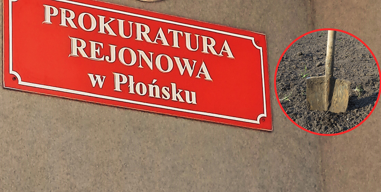 [foto: redakcja/canva/zdjęcie ilustracyjne]