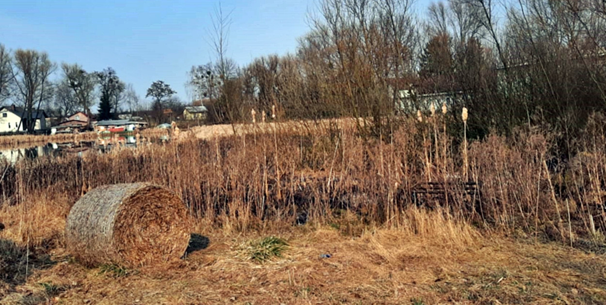 Z miejsca tragedii we wsi Sadówiec [fot.: KPP w Płońsku]