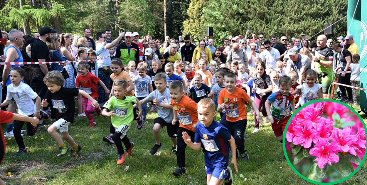 Już 25 maja ogrody zakwitną po raz kolejny z Nadleśnictwem Płońsk [ZAPOWIEDŹ/ZAPROSZENIE] 🌳🍀🌸