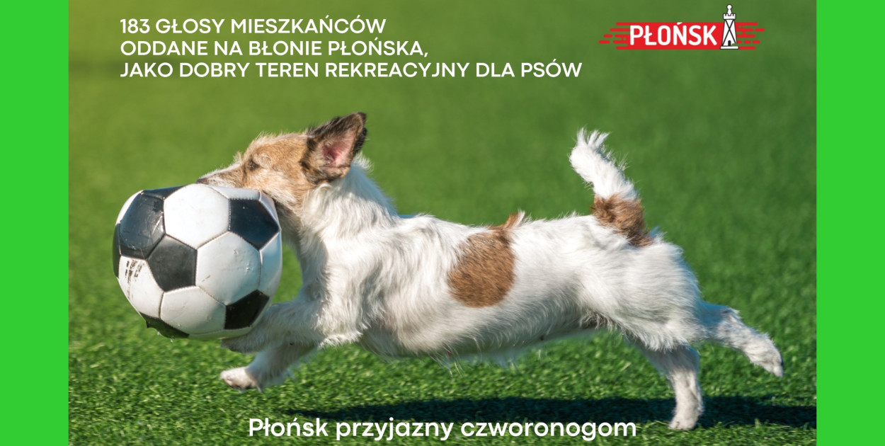 Grafika: UM w Płońsku