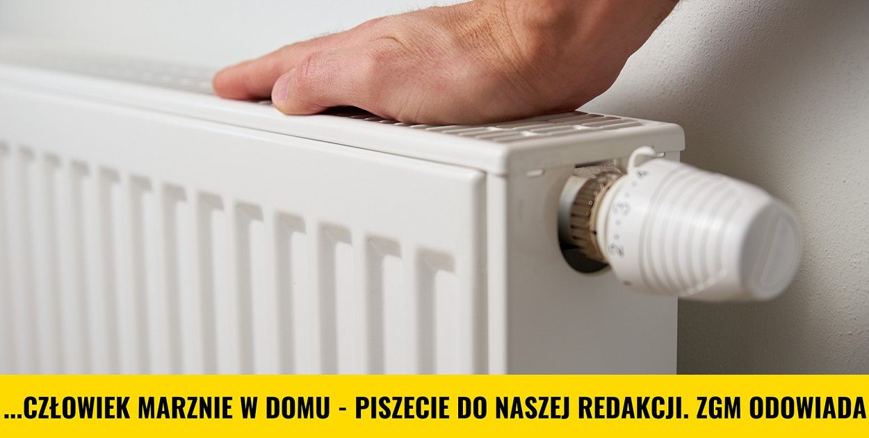fot.: canva/dodatki redakcja/zdjęcia ilustracyjne]