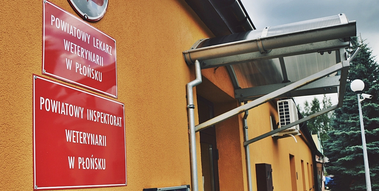Restrykcje w związku z ptasią grypą zostały zniesione fot.: Redakcja/Archiwum/Zdjęcie ilustracyjne
