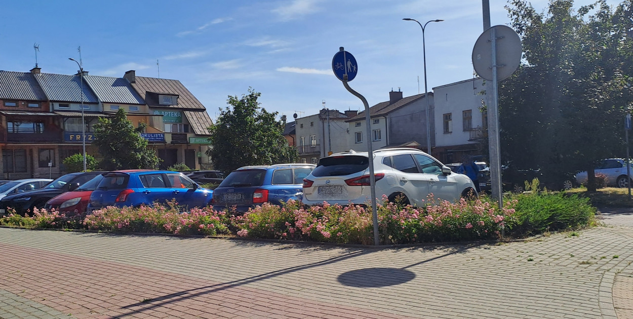 Fragment ul. Ogrodowej gdzie miały zostać ulokowane parkometry [fot.: zbiory redakcji] 