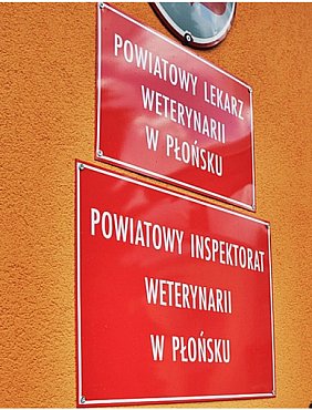 Rottweilery z Omięcin na razie pod obserwacją lekarza weterynarii -11707