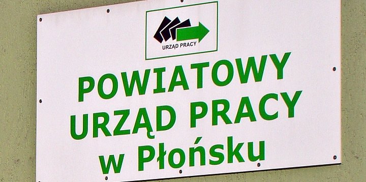 Ogłoszenie Powiatowego Urzędu Pracy w Płońsku -16324