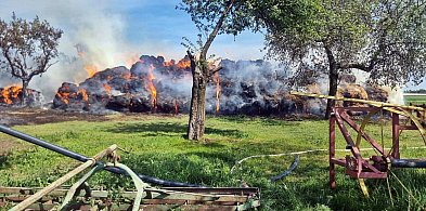 Strażackie interwencje we wsi Wychódźc i w Skarżynie -22374