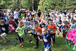 Ogrody zakwitną po raz kolejny z Nadleśnictwem Płońsk  - 22416