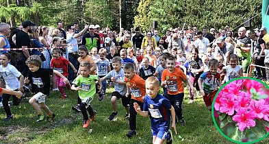 Już 25 maja ogrody zakwitną po raz kolejny z Nadleśnictwem Płońsk-22416