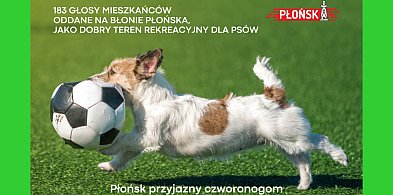 Nowa przestrzeń dla płońskich czworonogów - mieszkańcy wybrali lokalizację-22449