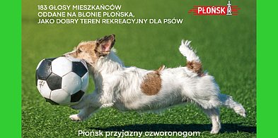 Nowa przestrzeń dla płońskich czworonogów - mieszkańcy wybrali lokalizację-22449