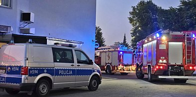 Akcja strażaków w hotelu. Mówią o rozpyleniu gazu -22646