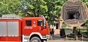 Strażacy w płońskim przedszkolu