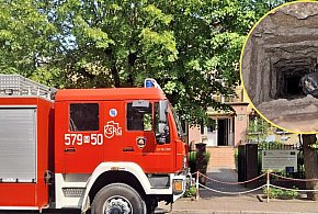 Strażacy w płońskim przedszkolu - niecodzienne zgłoszenie...-22705