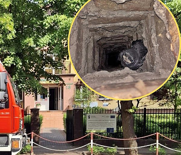 Strażacy w płońskim przedszkolu - niecodzienne zgłoszenie...-22705
