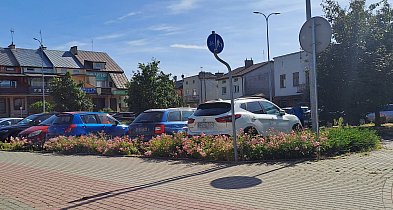 Czy będą płatne miejsca parkingowe przy Ogrodowej? Wiele na to wskazuje... -23098