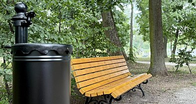 Park w Poświętnem już gotowy. '' Jest przepięknie, z jednym małym 'ale' ''-23167