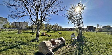 Płońskie Ogrody - czy wykorzystano potencjał tego miejsca? -23199