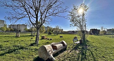 Płońskie Ogrody - czy wykorzystano potencjał tego miejsca? -23199