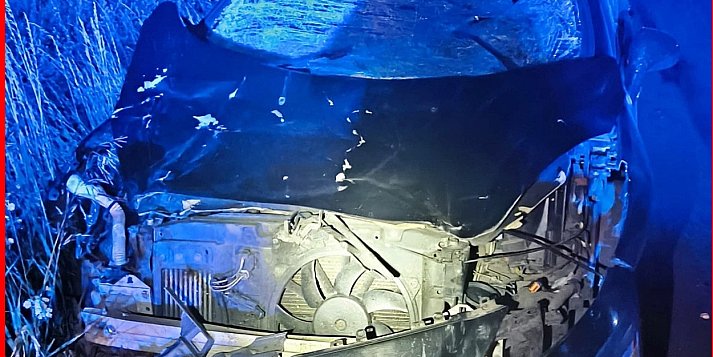 Jazda peugeotem zakończona zderzeniem z łosiem