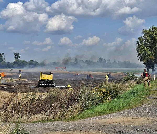 Akcja gaśnicza na polu. Groźny pożar w gminie Czerwińsk-23679