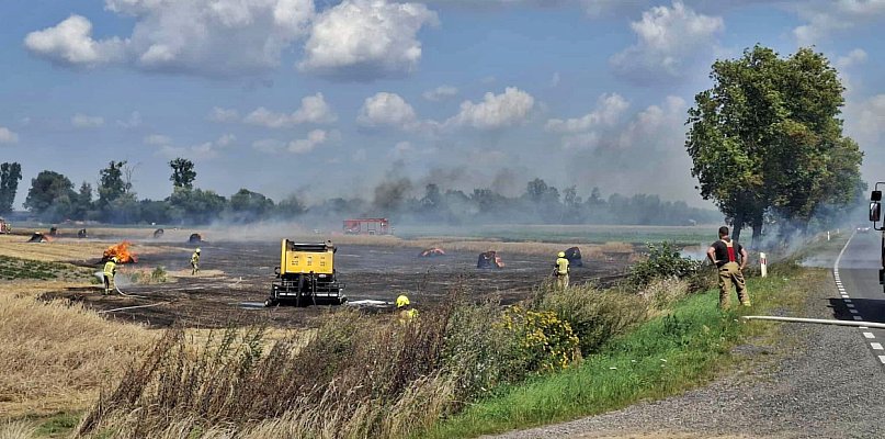 Akcja gaśnicza na polu. Groźny pożar w gminie Czerwińsk - 23679
