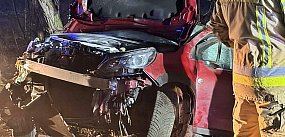 Płońszczanin chciał uniknąć zderzenia z sarną