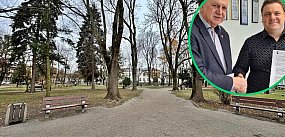 Zadbają o stare drzewa, ale posadzą też nowe