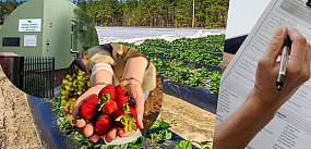 Co z zatrudnieniem obcokrajowców na naszym terenie?