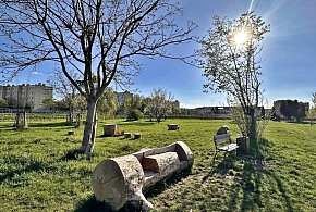 Płońskie Ogrody - czy wykorzystano potencjał tego miejs - 23199