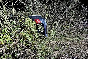 Bmw gwałtownie skręca, gdy przed pojazd wybiega sarna...-24666
