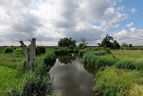 Co dalej z nowym parkiem narodowym? Minister klimatu zdradza plan po wecie-24990