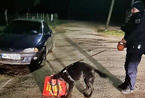 Zakrojone na szeroką skalę poszukiwania 55-latka z gminy Załuski-25112