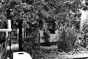 Tragedia w gminie Dzierzążnia. Nie żyje starsza kobieta-25146