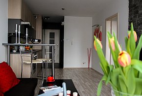 Rewolucja w wynajmie na doby. Nadchodzi koniec "wolnej amerykanki"-25326